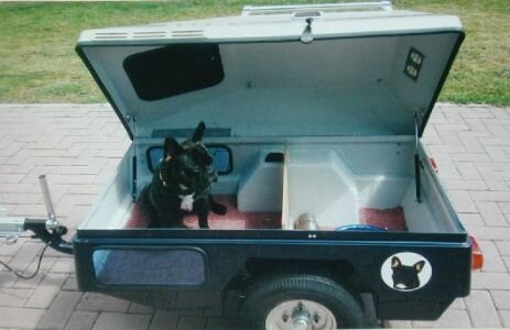 DogMaster DM350 Side windows