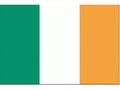 zz--Ireland-flag-20x30cm-30x45cm